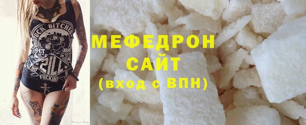 индика Елизово