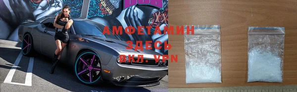 индика Елизово