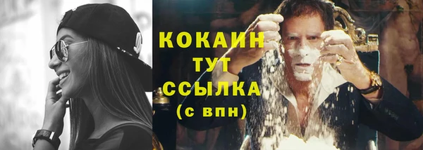 гидра Елабуга
