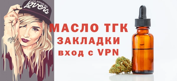 индика Елизово