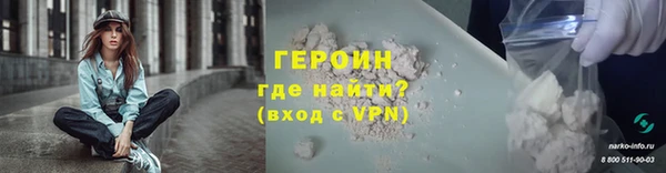 индика Елизово