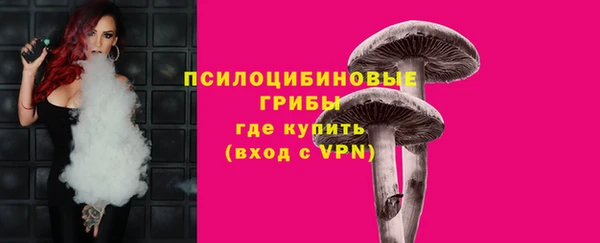таблы Ельня