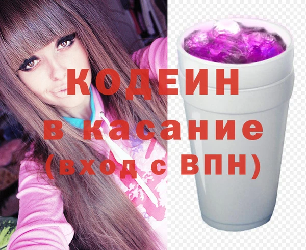 индика Елизово
