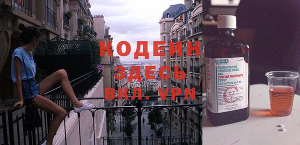 гидра Елабуга