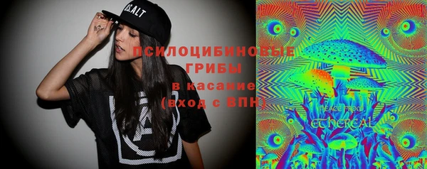 индика Елизово