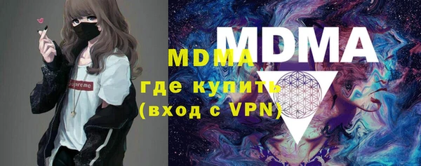индика Елизово