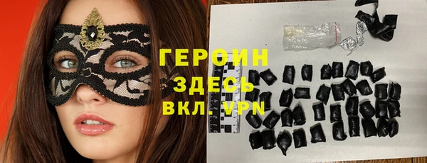индика Елизово