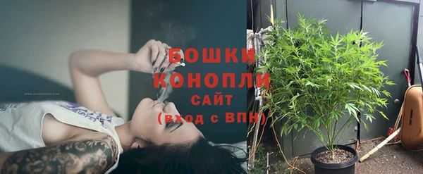 эйфоретик Дмитров